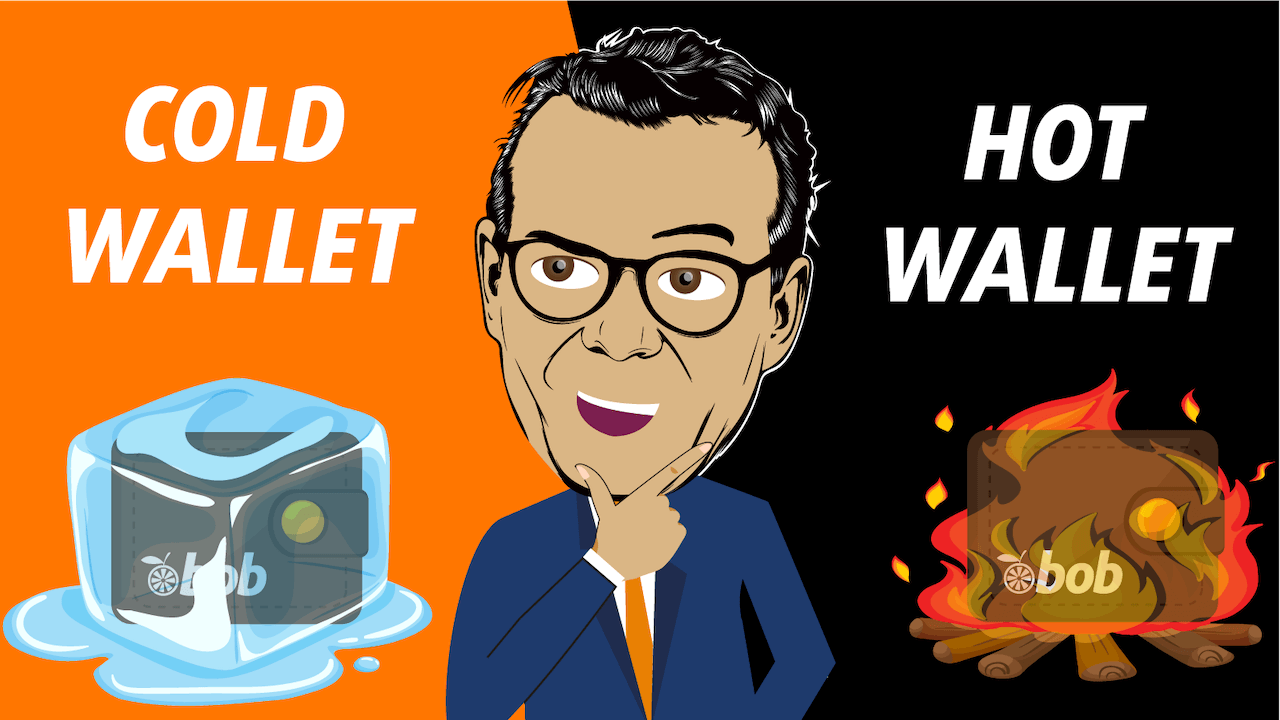Bobcoin | Hot wallet and Cold wallet, what is the difference?